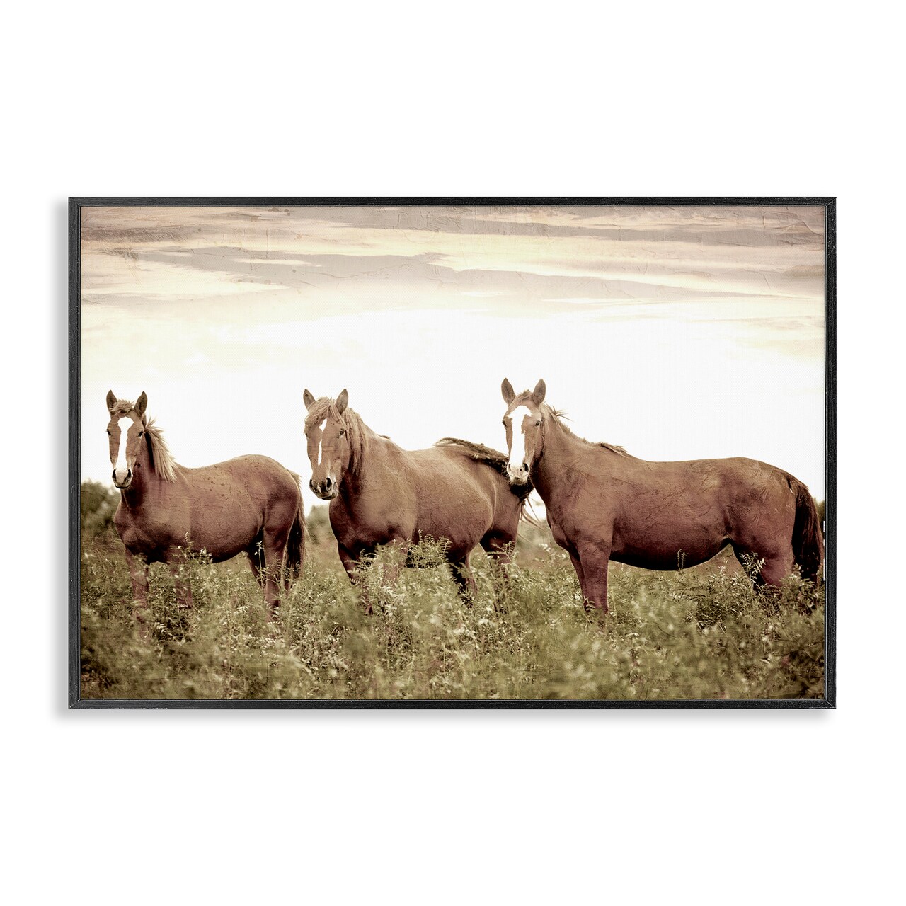 Stupell Industries Horse Trio Gaze Framed Giclee Wall Art Design by Kim Allen